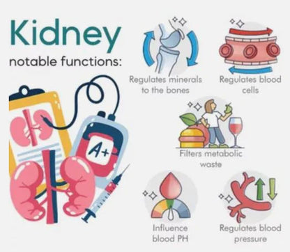 LI4 Acupressure Clip for Sugar Balance & Wellness
